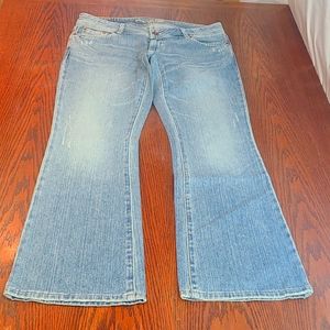 American Eagle Outfitters Artist Jeans 10 Short